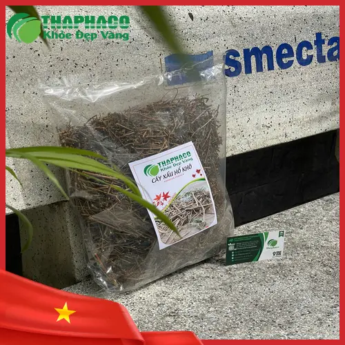 Các bộ phận của cây xấu hổ được dùng làm dược liệu