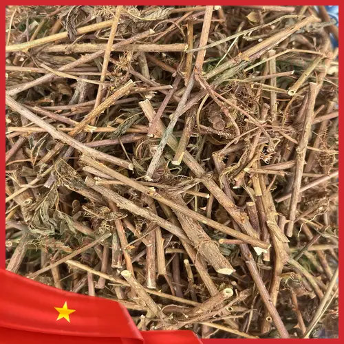 Cách sử dụng và liều lượng cây xấu hổ khô an toàn, hiệu quả