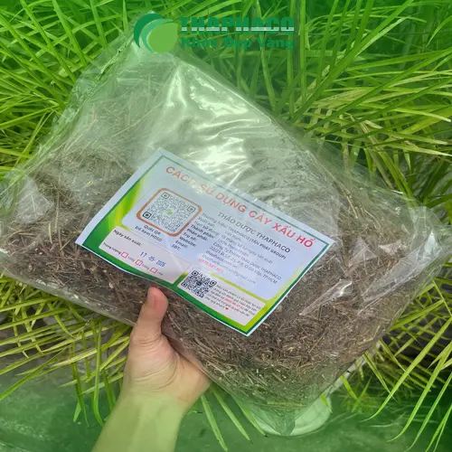 Nước sắc từ cây xấu hổ