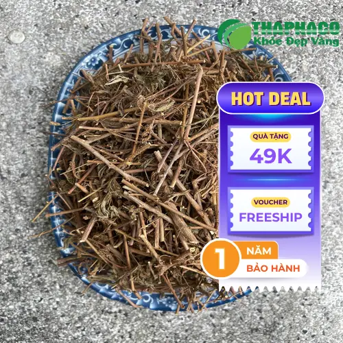 Giải đáp các câu hỏi thường gặp về cây xấu hổ và tác dụng của nó
