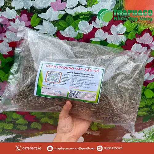 Cách dùng cây xấu hổ an toàn