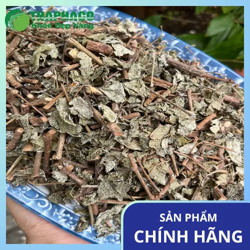 Chè dây khô bị nấm mốc với các đốm xanh, đen