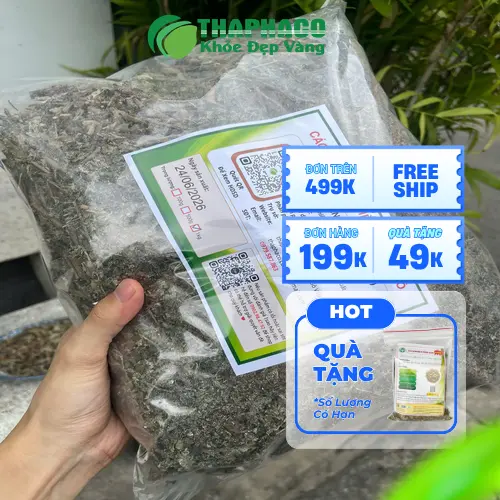 Cách nhận biết chè dây khô chất lượng và bảo quản đúng cách