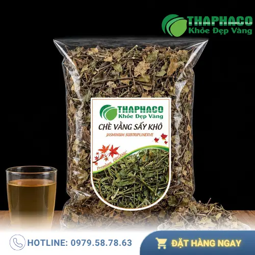 Hình ảnh cây chè vằng khô với đặc điểm lá và thân