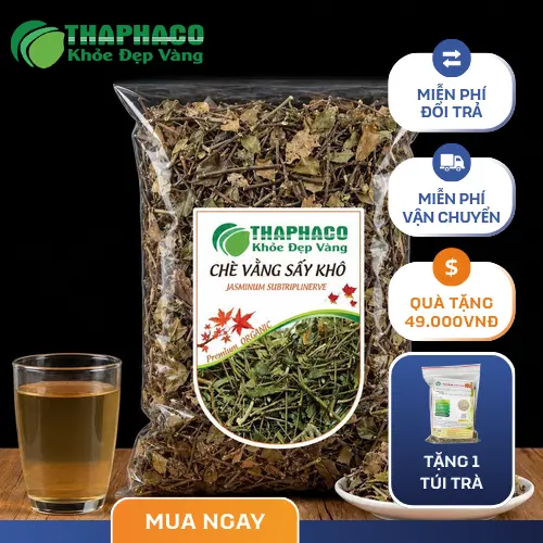 Hình ảnh cây chè vằng tự nhiên và chè vằng khô THAPHACO