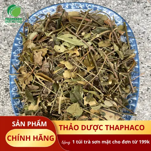 Quy trình chế biến chè vằng khô tại THAPHACO