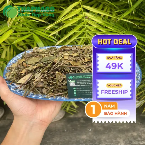 Quy trình sấy khô chè vằng tại THAPHACO
