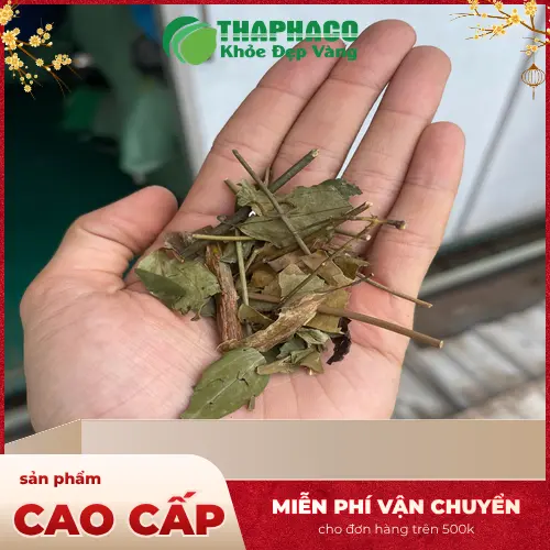 Hình ảnh người mẹ sau sinh đang pha và uống nước chè vằng