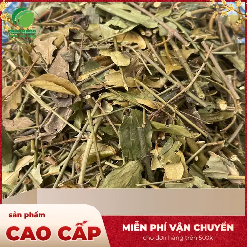 Ly trà chè vằng khô màu vàng nhạt, thơm mát