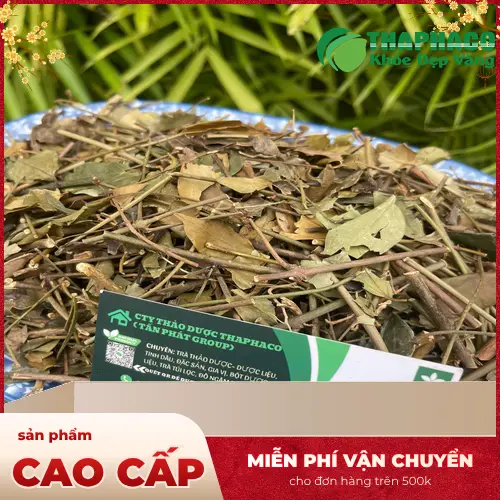 Chè vằng sấy khô chất lượng cao của THAPHACO