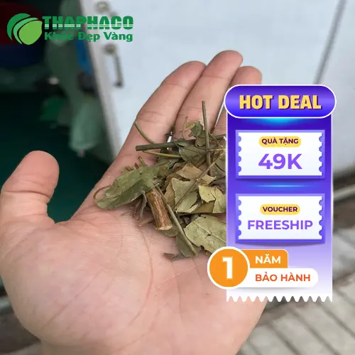 Gói chè vằng khô được đóng gói cẩn thận tại THAPHACO