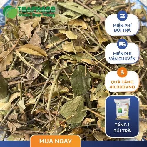 chè vằng khô tiện lợi dễ sử dụng
