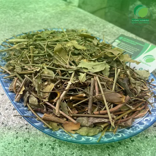 Chè vằng khô THAPHACO – Lựa chọn thông minh cho sức khỏe
