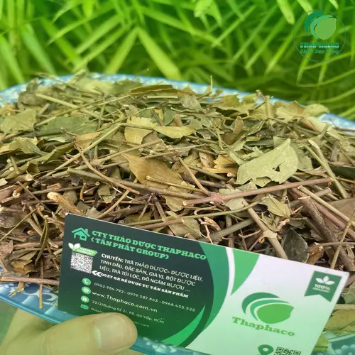 Tách trà vằng thơm ngon và những câu hỏi thường gặp