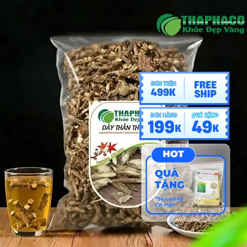 Hình ảnh cây Dây Thần Thông