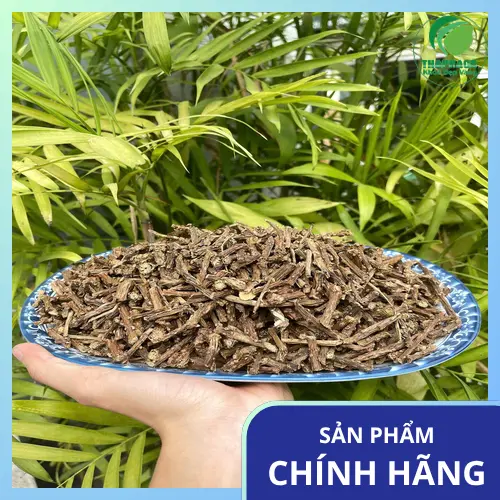 Quy trình sơ chế Dây Thần Thông khô tại THAPHACO