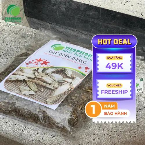 Phụ nữ có thai và đang cho con bú không nên dùng Dây Thần Thông