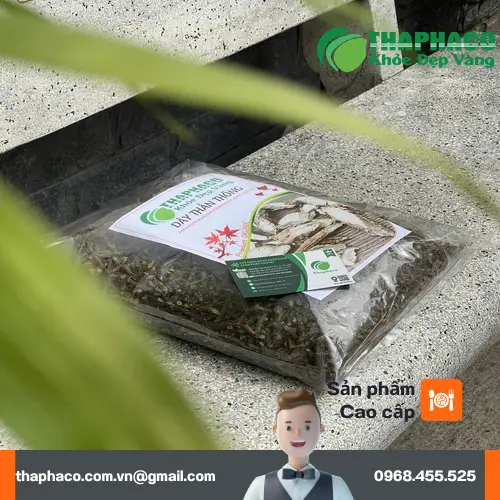 Kiểm tra dây thần thông khô định kỳ