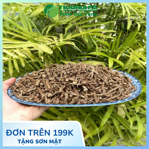 Sử dụng Dây Thần Thông an toàn theo hướng dẫn