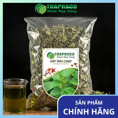 Hình ảnh cây Dây Thìa Canh mọc tự nhiên