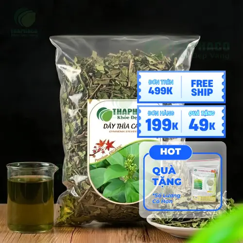 Dây Thìa Canh và công dụng hỗ trợ sức khỏe