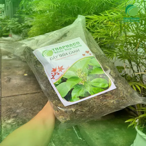 Người dùng thảo dược cần đọc kỹ hướng dẫn sử dụng
