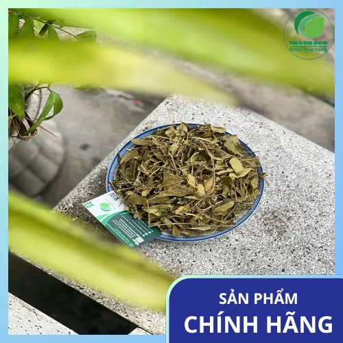 Tác dụng phụ tiềm ẩn của Dây Thìa Canh như tụt đường huyết