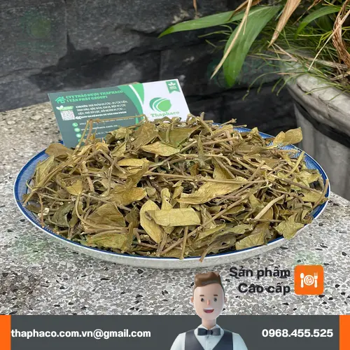 Cách sử dụng và pha trà dây thìa canh