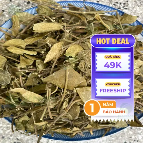 Người bị đường huyết thấp cần thận trọng khi dùng dây thìa canh