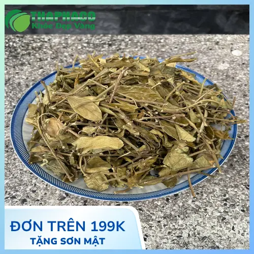 Cách pha trà Dây Thìa Canh THAPHACO đúng cách
