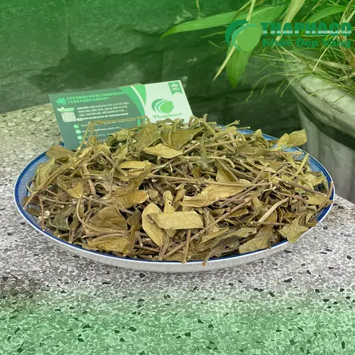 Sử dụng Dây Thìa Canh an toàn và đúng cách