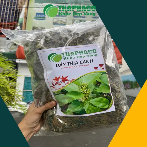 Dây thìa canh THAPHACO an toàn và chất lượng