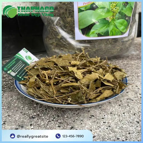 Giải đáp các câu hỏi thường gặp về Dây Thìa Canh