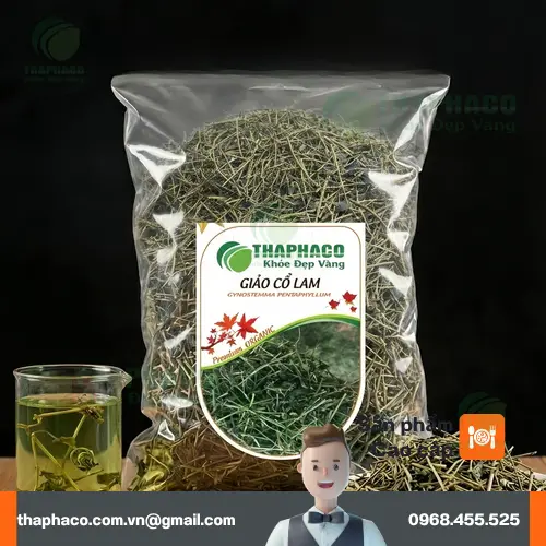 Giảo Cổ Lam khô THAPHACO chất lượng cao