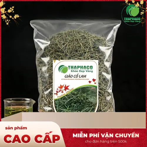 Giảo Cổ Lam khô THAPHACO chất lượng cao