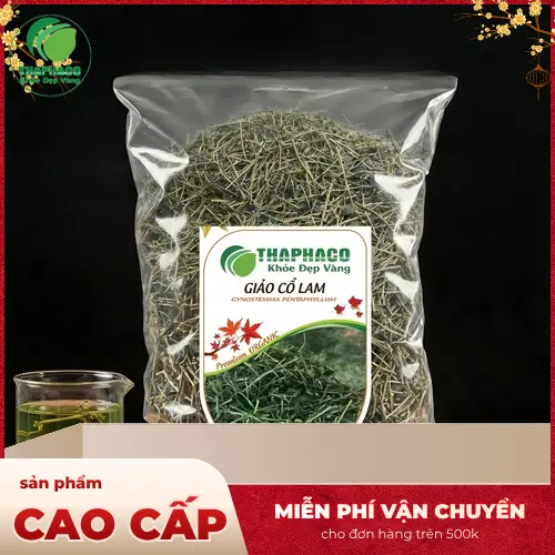 Giảo Cổ Lam là gì