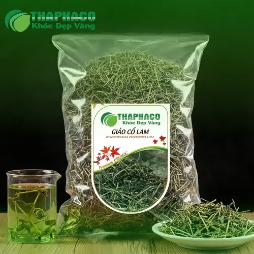 Giảo cổ lam và lợi ích sức khỏe