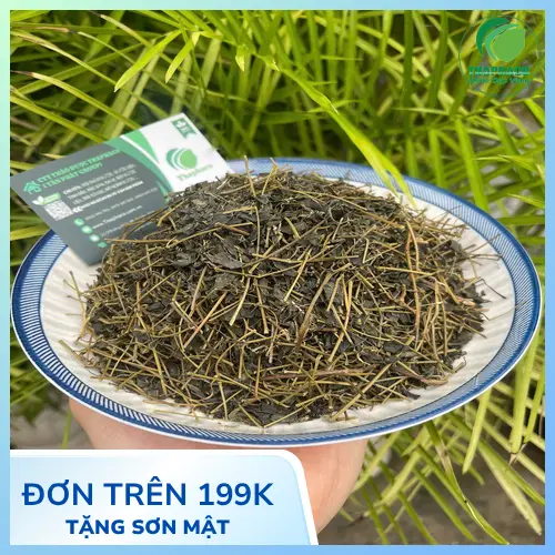 Công dụng hỗ trợ của Giảo Cổ Lam khô
