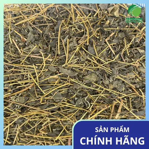 Các đối tượng chống chỉ định dùng giảo cổ lam