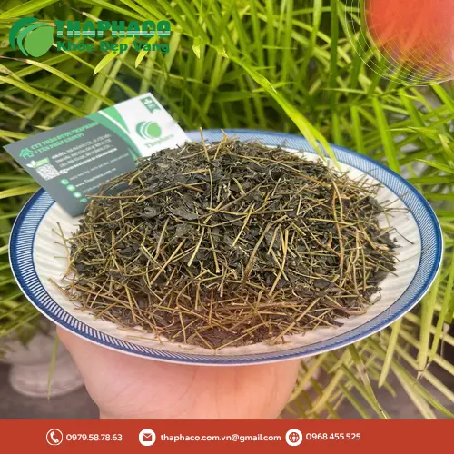 Trà Giảo Cổ Lam hỗ trợ sức khỏe