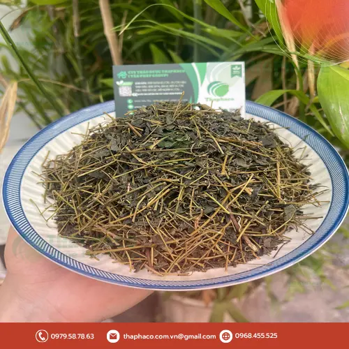 Giảo Cổ Lam khô được sấy bằng công nghệ hiện đại