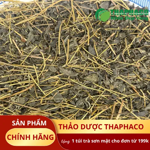 Cách pha trà Giảo Cổ Lam khô THAPHACO