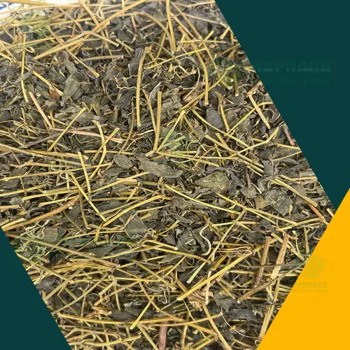 Cách pha trà giảo cổ lam khô đúng chuẩn và an toàn