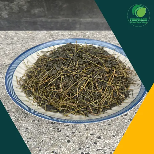 Liều lượng và thời điểm uống giảo cổ lam