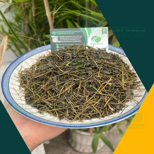 Cách dùng Giảo Cổ Lam hiệu quả