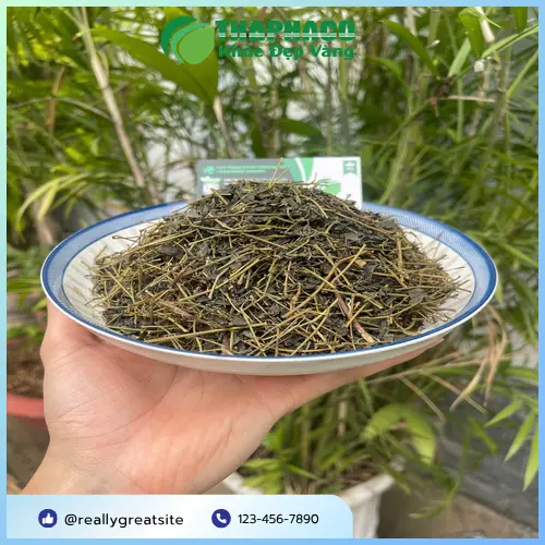 Lưu ý khi dùng giảo cổ lam