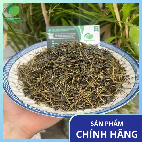 Pha trà Giảo Cổ Lam đúng cách