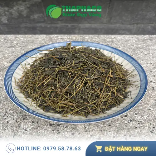 Bảng giá Giảo Cổ Lam khô THAPHACO