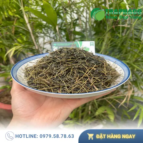 Lưu ý khi dùng giảo cổ lam