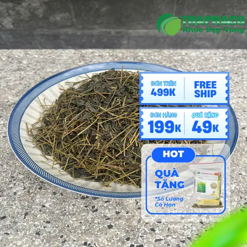 THAPHACO - Địa chỉ mua Giảo Cổ Lam uy tín tại TP.HCM